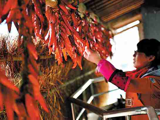 春节：怀旧的节日 舌尖上的盛宴